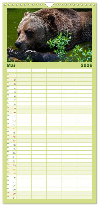 Grizzlys und Geisterbären - Glendale Cove, Kanada (CALVENDO Familienplaner 2026)