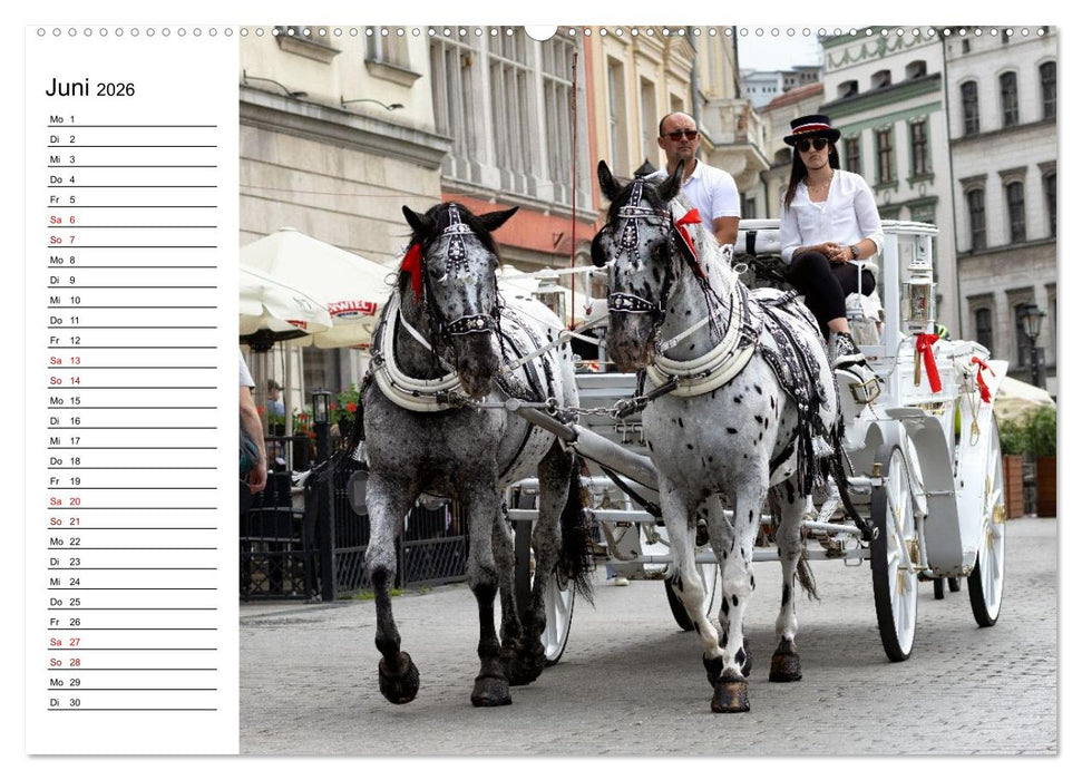 Besucht doch mal Krakau (CALVENDO Premium Wandkalender 2026)