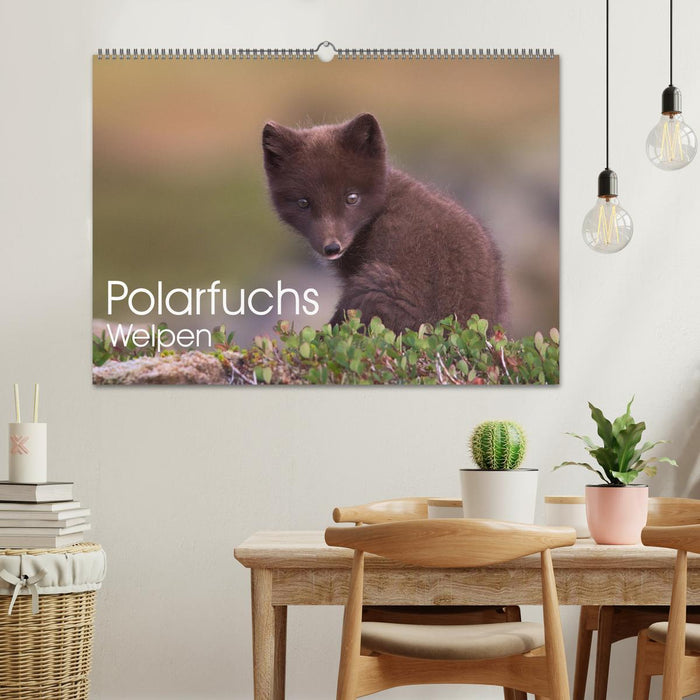 Polarfuchs-Welpen (CALVENDO Wandkalender 2026)