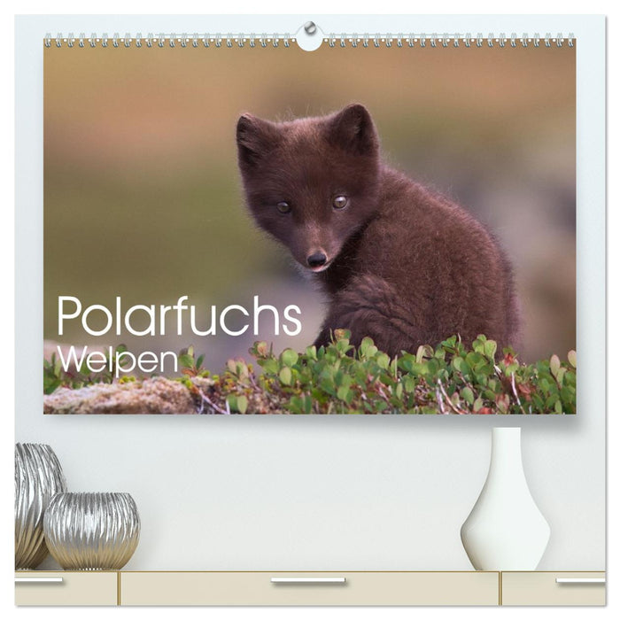 Polarfuchs-Welpen (CALVENDO Premium Wandkalender 2026)