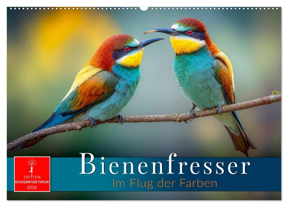 Bienenfresser - im Flug der Farben (CALVENDO Wandkalender 2026)