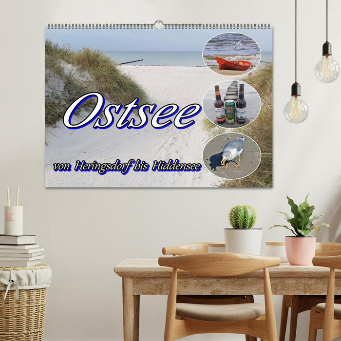 Ostsee von Heringsdorf bis Hiddensee (CALVENDO Wandkalender 2026)