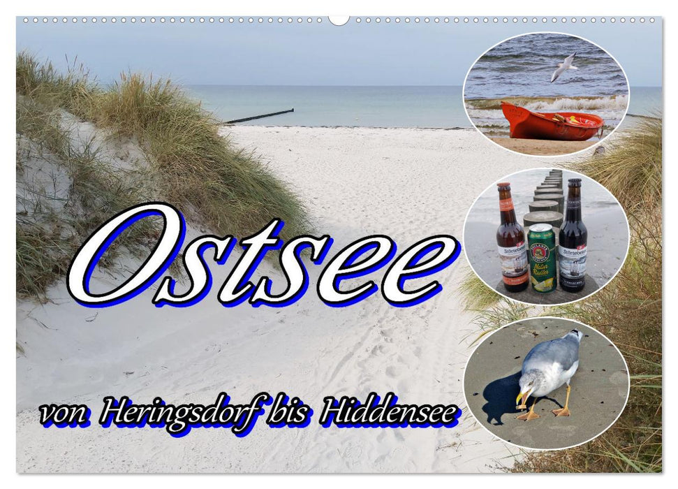 Ostsee von Heringsdorf bis Hiddensee (CALVENDO Wandkalender 2026)