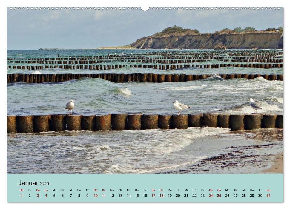 Ostsee von Heringsdorf bis Hiddensee (CALVENDO Wandkalender 2026)