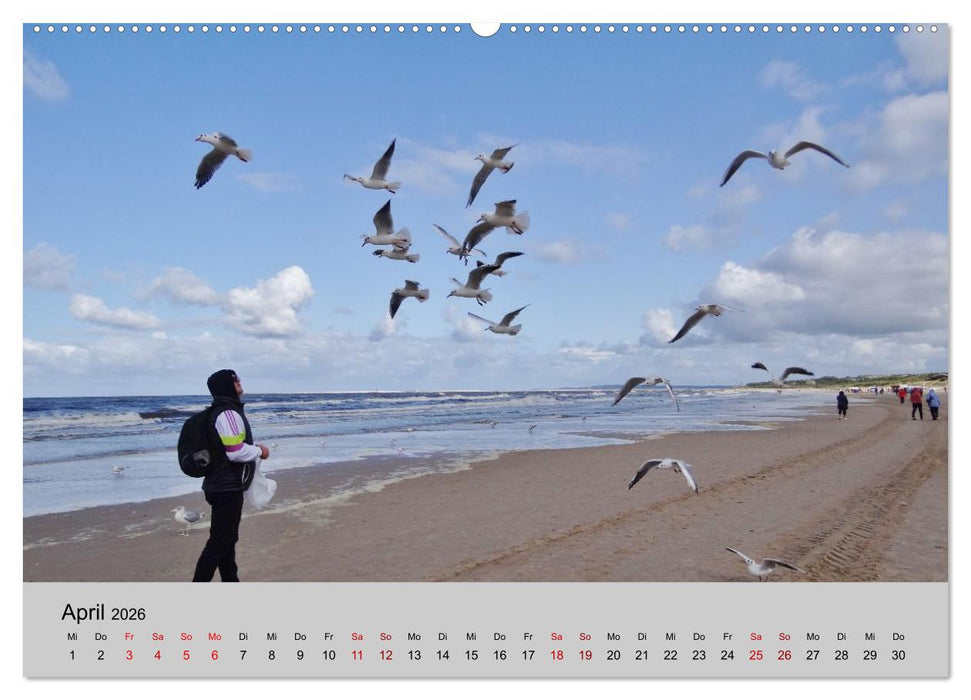 Ostsee von Heringsdorf bis Hiddensee (CALVENDO Premium Wandkalender 2026)