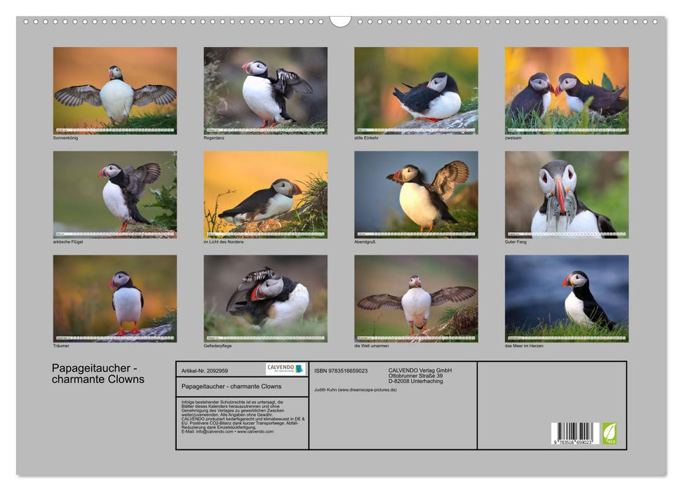 Papageitaucher - charmante Clowns (CALVENDO Wandkalender 2026)