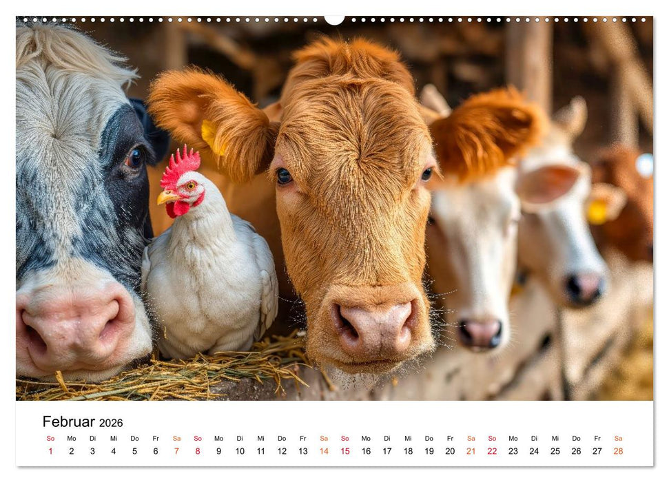 Hühner - gefiedert durchs Jahr (CALVENDO Premium Wandkalender 2026)