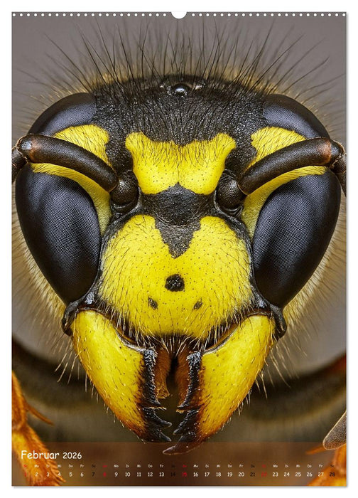 Makromonster - Schönheit im Detail (CALVENDO Wandkalender 2026)