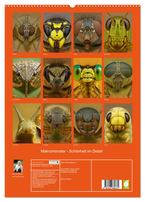 Makromonster - Schönheit im Detail (CALVENDO Premium Wandkalender 2026)