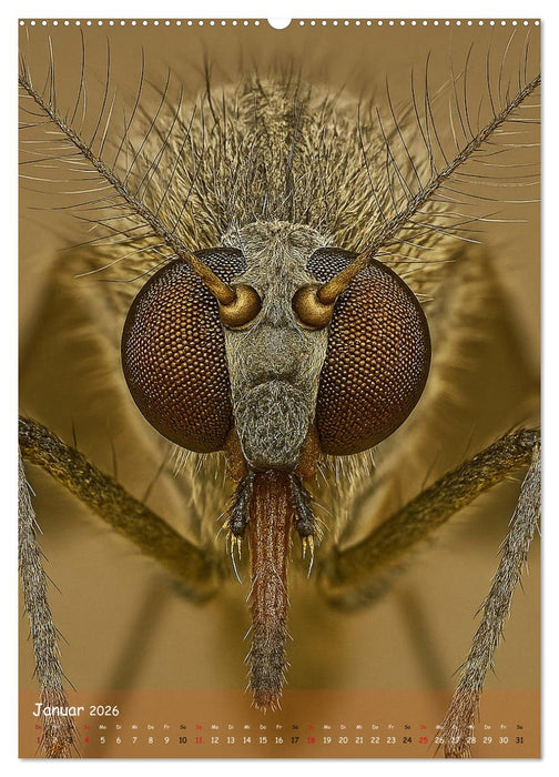 Makromonster - Schönheit im Detail (CALVENDO Premium Wandkalender 2026)