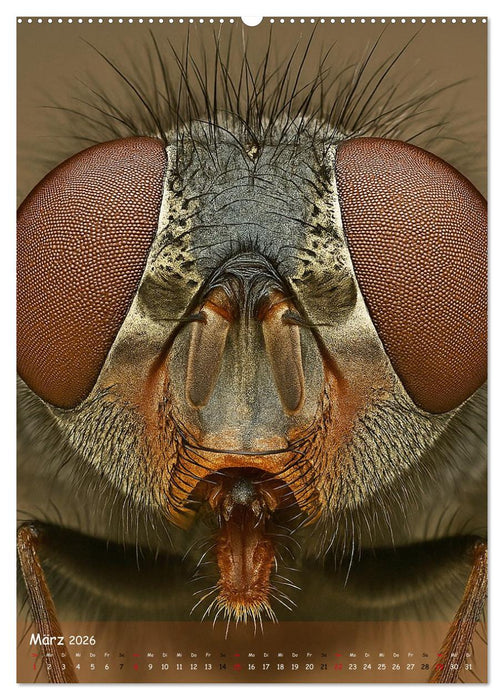 Makromonster - Schönheit im Detail (CALVENDO Premium Wandkalender 2026)