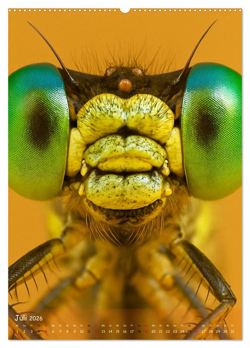 Makromonster - Schönheit im Detail (CALVENDO Premium Wandkalender 2026)