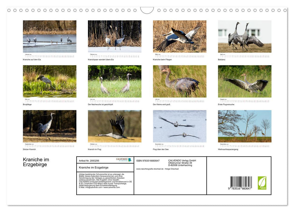 Kraniche im Erzgebirge (CALVENDO Wandkalender 2026)