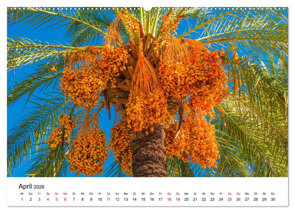 Türkei, Antalya: Urlaubsparadies am Mittelmeer (CALVENDO Premium Wandkalender 2026)