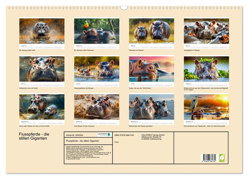Flusspferde - die stillen Giganten (CALVENDO Wandkalender 2026)