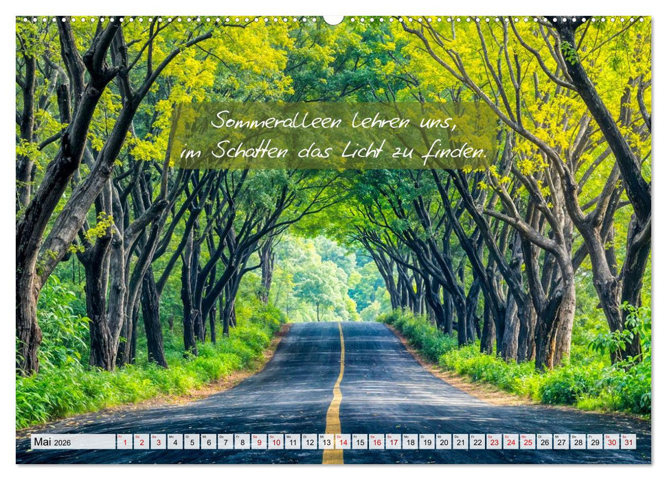 Wege zwischen Asphalt und Himmel - Achtsamkeitskalender mit Weisheiten (CALVENDO Wandkalender 2026)
