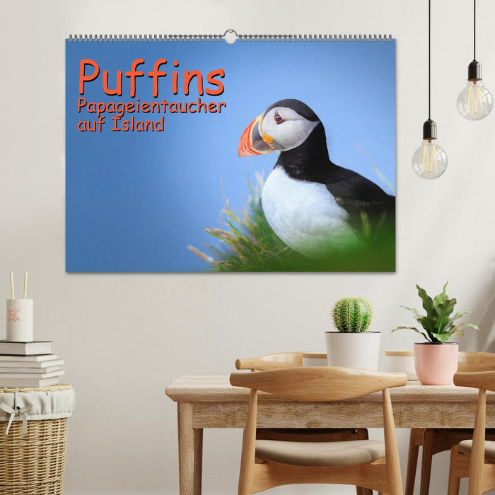 Puffins - Papageientaucher auf Island (CALVENDO Wandkalender 2026)