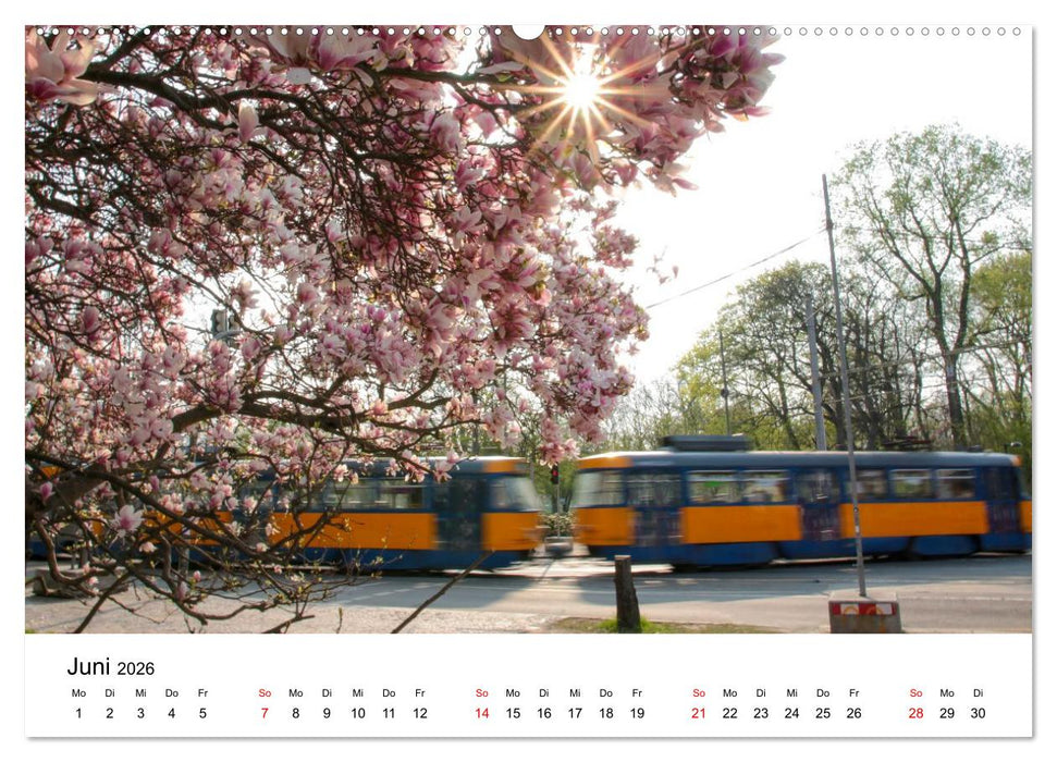 Leipzig – Stadtansichten zum Verlieben (CALVENDO Premium Wandkalender 2026)