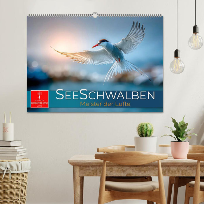 Seeschwalben - Meister der Lüfte (CALVENDO Wandkalender 2026)