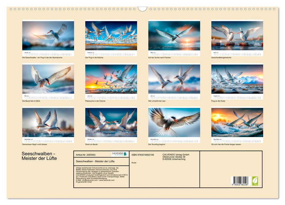 Seeschwalben - Meister der Lüfte (CALVENDO Wandkalender 2026)