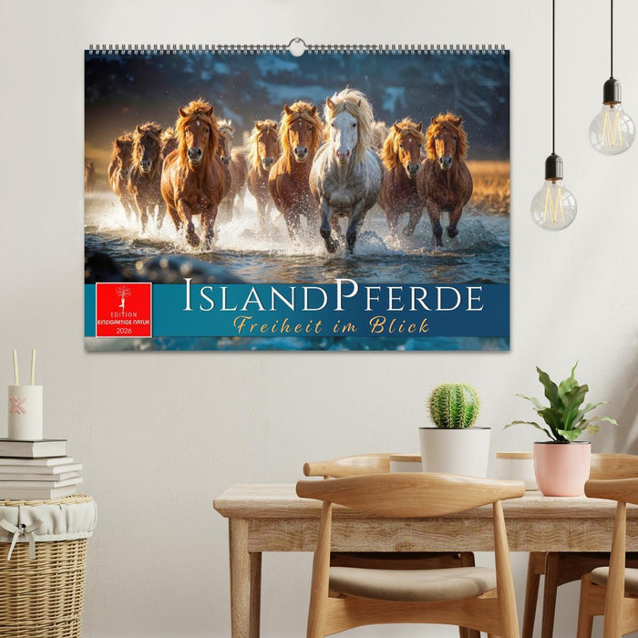 Islandpferde - Freiheit im Blick (CALVENDO Wandkalender 2026)