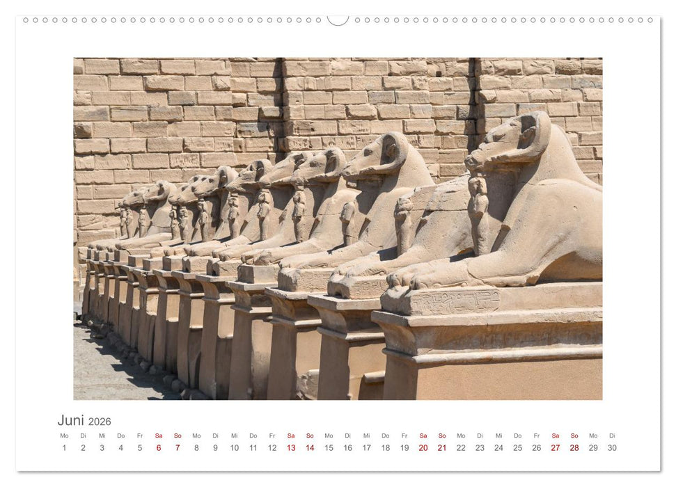 Ägypten - unterwegs mit Julia Hahn (CALVENDO Wandkalender 2026)