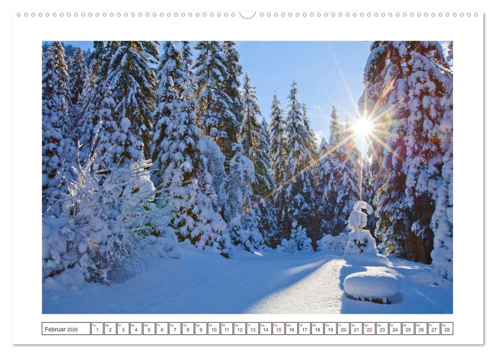 Willkommen in Tamsweg (CALVENDO Premium Wandkalender 2026)