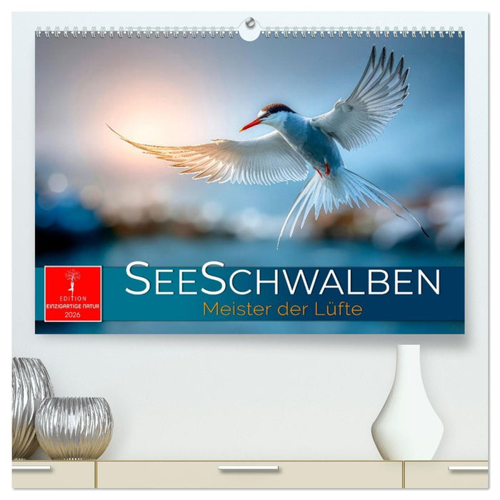 Seeschwalben - Meister der Lüfte (CALVENDO Premium Wandkalender 2026)