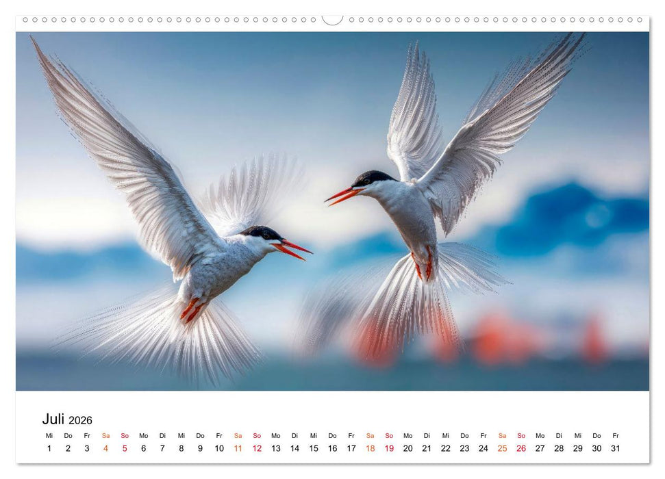 Seeschwalben - Meister der Lüfte (CALVENDO Premium Wandkalender 2026)