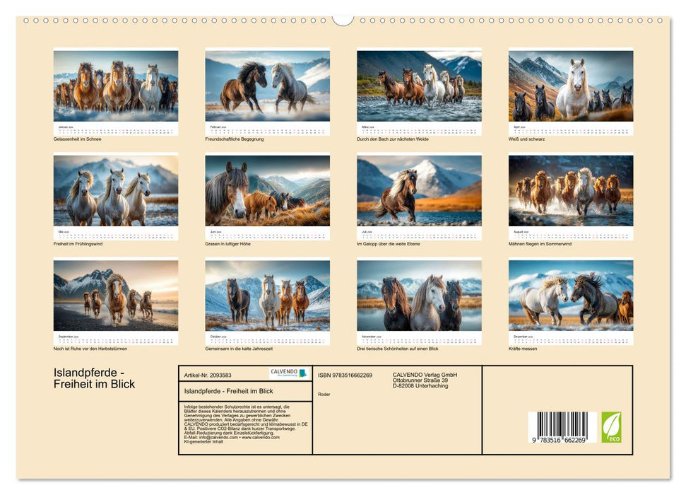 Islandpferde - Freiheit im Blick (CALVENDO Premium Wandkalender 2026)