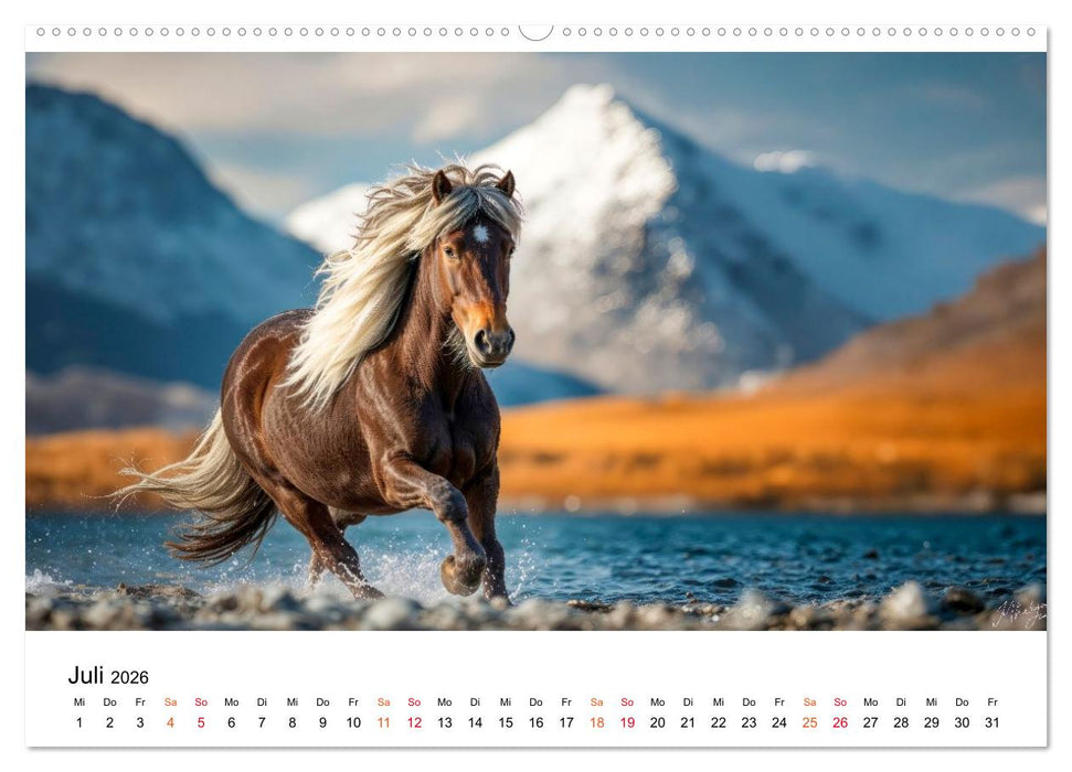 Islandpferde - Freiheit im Blick (CALVENDO Premium Wandkalender 2026)