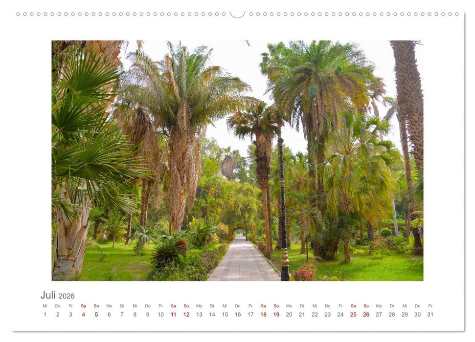 Ägypten - unterwegs mit Julia Hahn (CALVENDO Premium Wandkalender 2026)