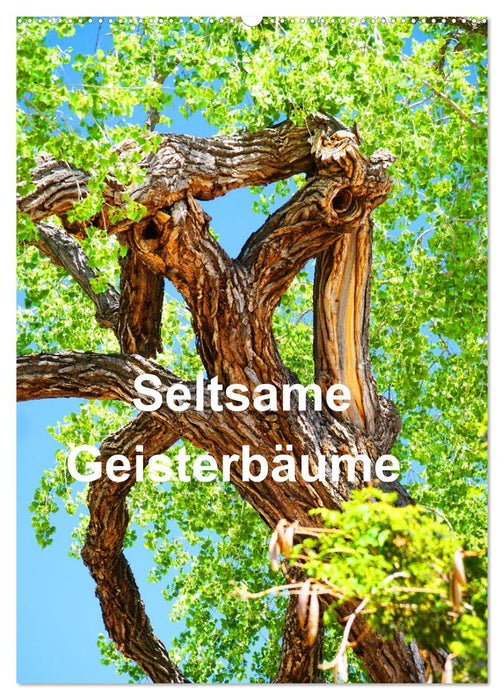 Geisterbäume (CALVENDO Wandkalender 2026)