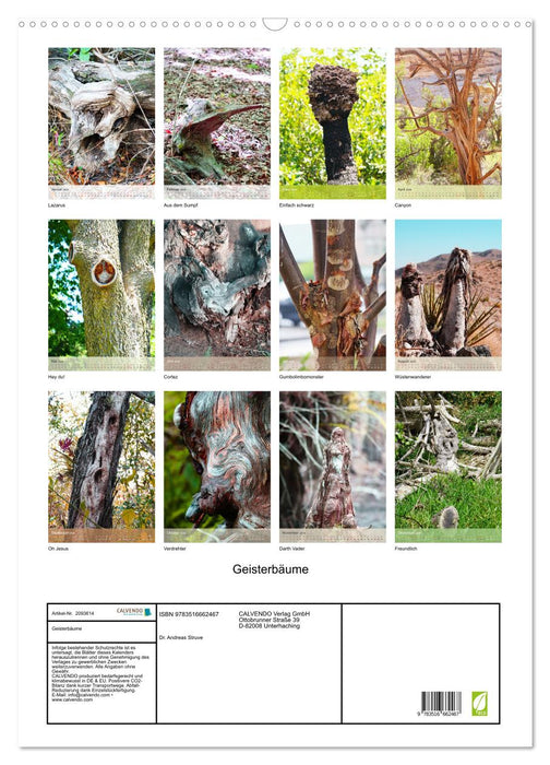 Geisterbäume (CALVENDO Wandkalender 2026)
