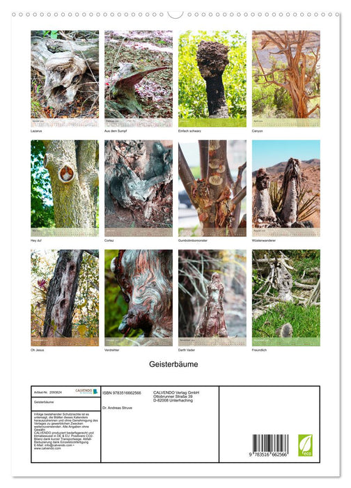 Geisterbäume (CALVENDO Premium Wandkalender 2026)