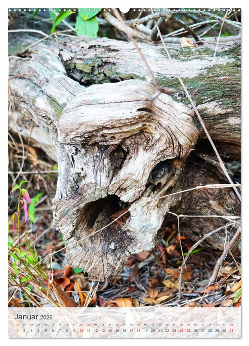 Geisterbäume (CALVENDO Premium Wandkalender 2026)