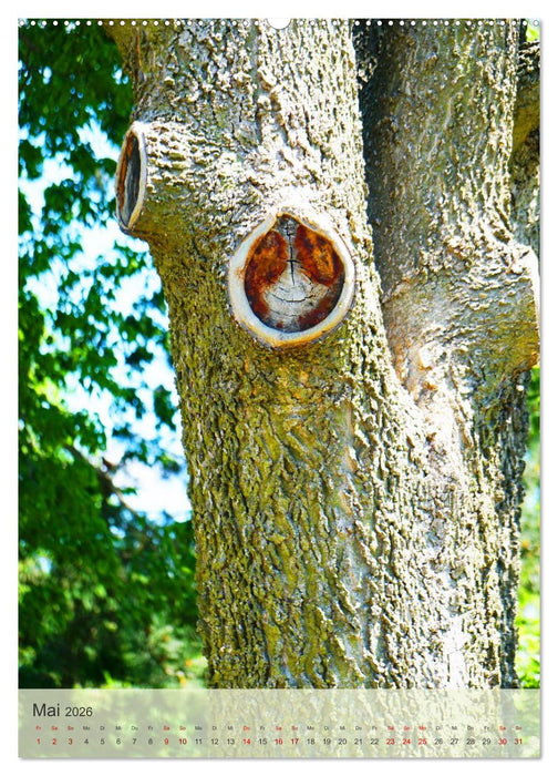 Geisterbäume (CALVENDO Premium Wandkalender 2026)