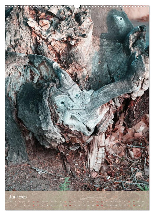 Geisterbäume (CALVENDO Premium Wandkalender 2026)