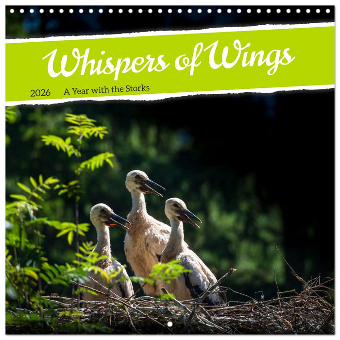 Whispers of Wings (CALVENDO Monthly Calendar 2026)