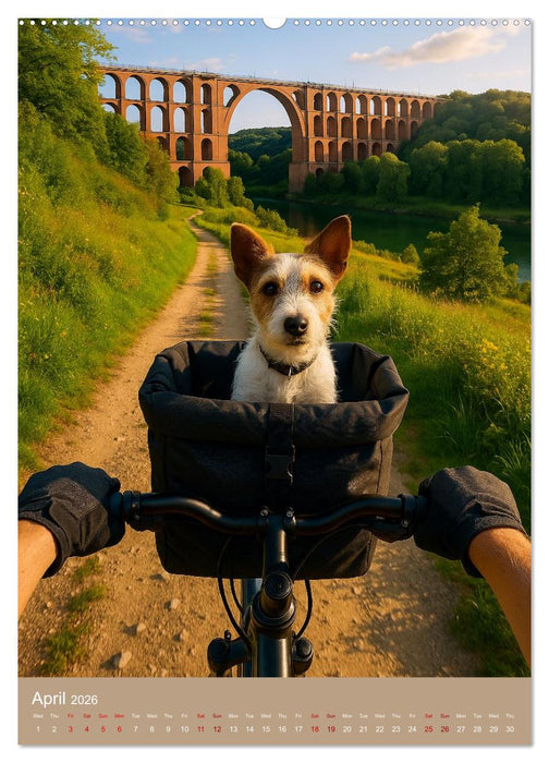 Cycling in Germany (CALVENDO Monthly Calendar 2026)