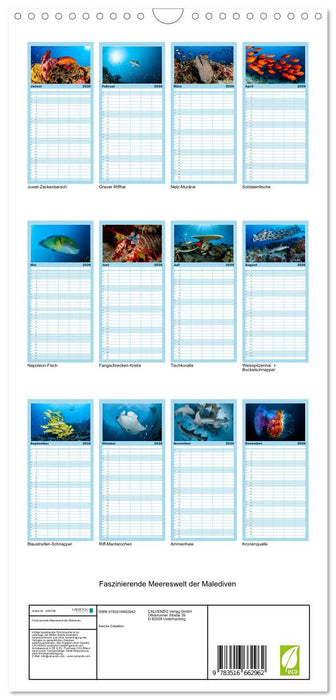 Faszinierende Meereswelt der Malediven (CALVENDO Familienplaner 2026)