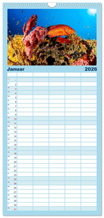 Faszinierende Meereswelt der Malediven (CALVENDO Familienplaner 2026)