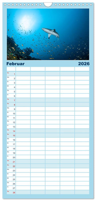 Faszinierende Meereswelt der Malediven (CALVENDO Familienplaner 2026)