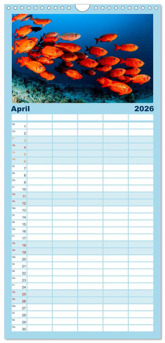 Faszinierende Meereswelt der Malediven (CALVENDO Familienplaner 2026)