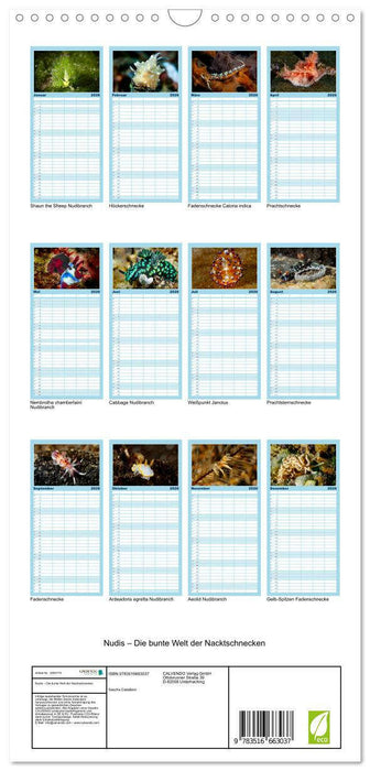 Nudis – Die bunte Welt der Nacktschnecken (CALVENDO Familienplaner 2026)