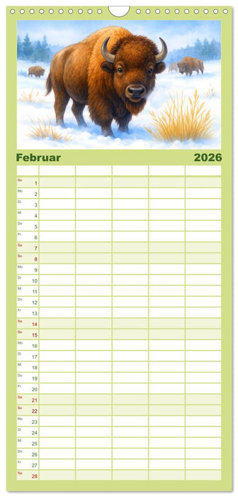 Niedliches Nordamerika (CALVENDO Familienplaner 2026)