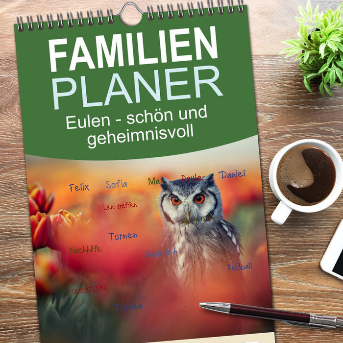 Eulen - schön und geheimnisvoll (CALVENDO Familienplaner 2026)