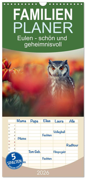 Eulen - schön und geheimnisvoll (CALVENDO Familienplaner 2026)