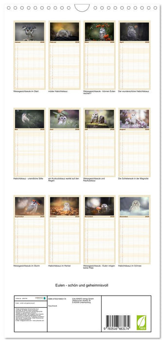 Eulen - schön und geheimnisvoll (CALVENDO Familienplaner 2026)