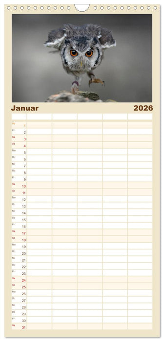 Eulen - schön und geheimnisvoll (CALVENDO Familienplaner 2026)